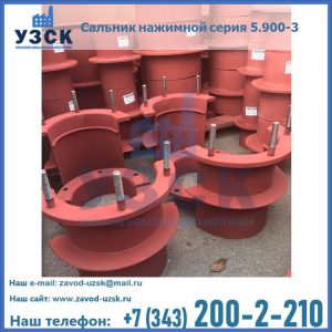 Сальники нажимные серия 5.900-3 в Бийске